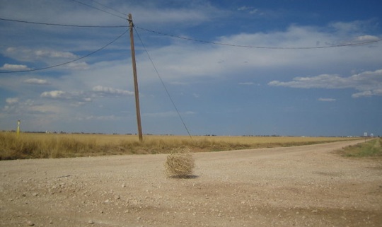 tumbleweed.jpg