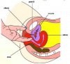 exam-g-spot.jpg